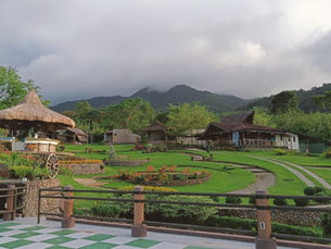 Nature View