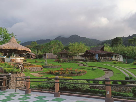 Nature View