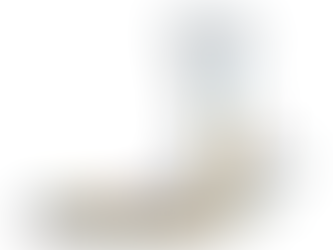 gate control theory of pain