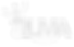 LUMA bozza logo def (1).png