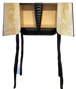 cabinet ecaille interieur