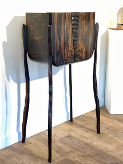 cabinet Ecaille 1