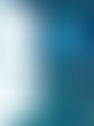 The Hopes & Fears of All the Years