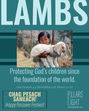 Lambs: Protecting God’s children from the foundation of the world