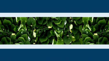 WHY DID THE LORD CALL HIS FAITHFUL SAINTS "PLANTS OF RENOWN"?
