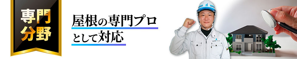 LP素材-12.jpg