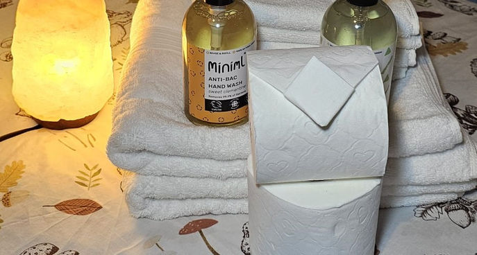 Clean guest towels with eco-friendly hand wash bottles, toilet rolls and warm bedside lighting.