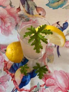 Tisana fresca limone e geranio odoroso