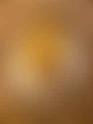 Torta d'inizio Dicembre