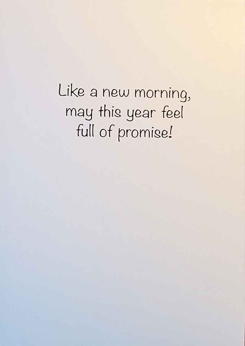 Thumbnail: new morning nd-359