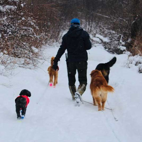 hiking-06.jpg