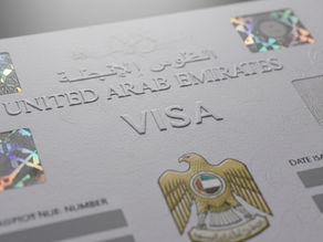 Will the Company Sponsor My Employment Visa?
