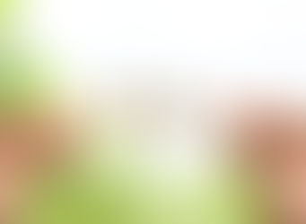 CONHEÇA A CONSTELAÇÃO FAMILIAR SISTÊMICA!