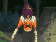 Shunkou.gif