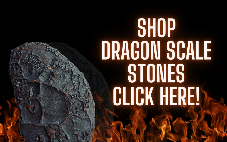 SHOP DSS.webp
