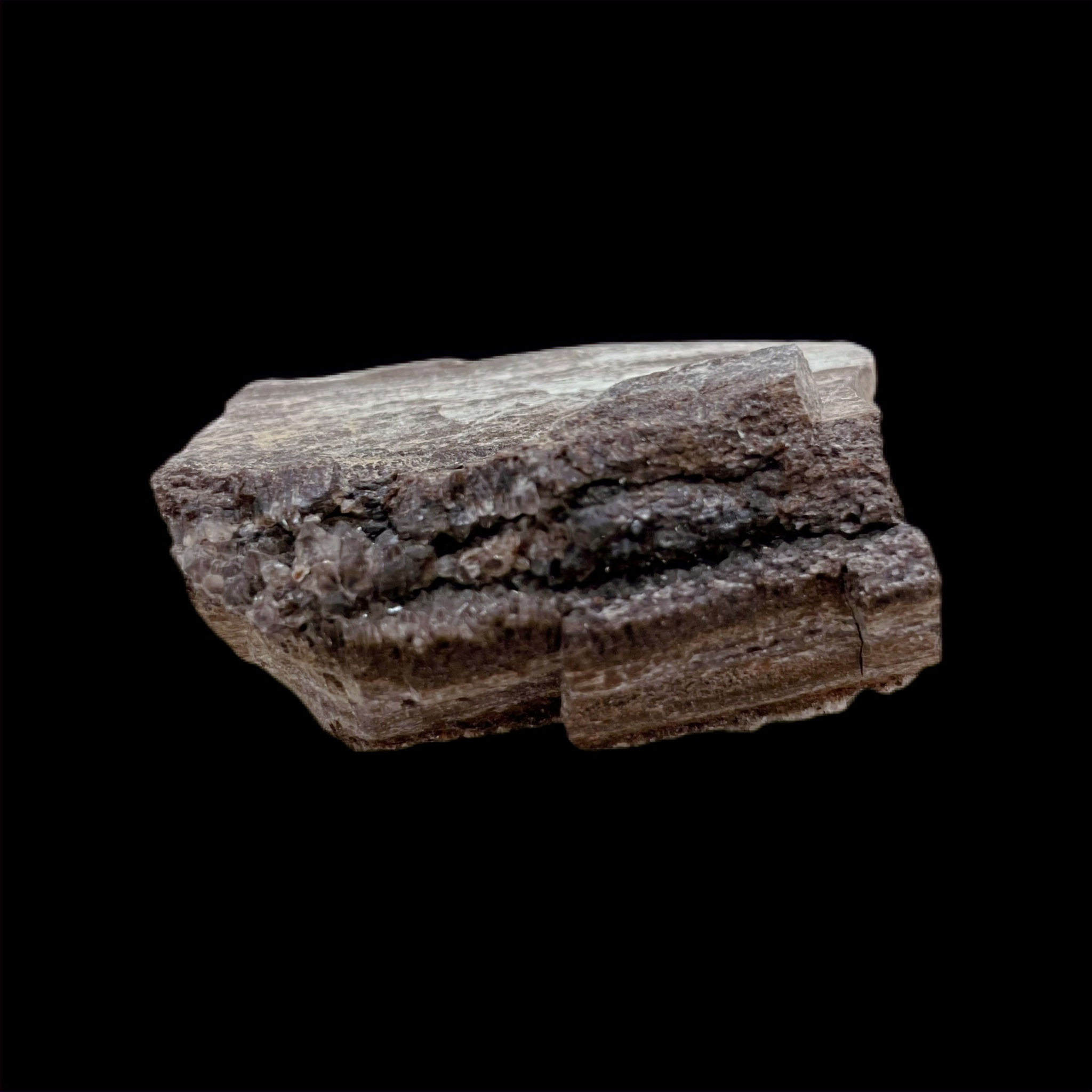 Crystalized Petrified Wood ~Small Chunks