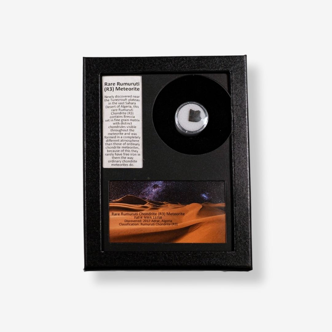 Rare Rumuruti (R3) Meteorite