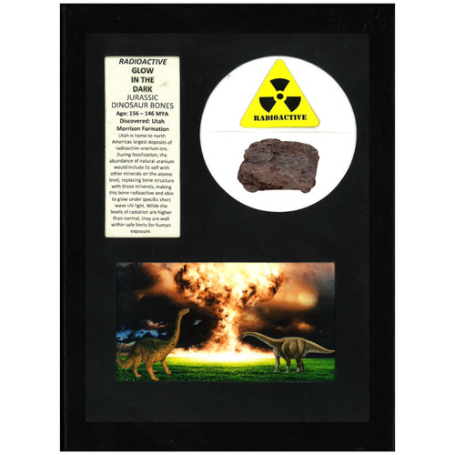 Radioactive "Glow in the Dark" Jurassic Dinosaur Bones