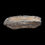 Thumbnail: Woolly Mammoth Tooth
