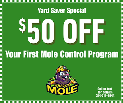 Whack A Mole Coupons 0526v02.png