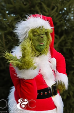 grinch_4.png