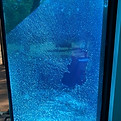 glass replacement Darwin NT