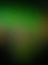 CAMARONES DEL ALJIBE