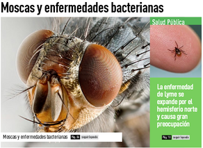 Enfoques de Salud Ambiental Septiembre 2017
