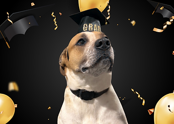 Charlie graduation.png