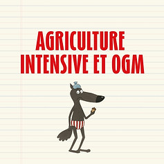 LE LOUP EN SLIP LES SPECTACLES (21).jpg