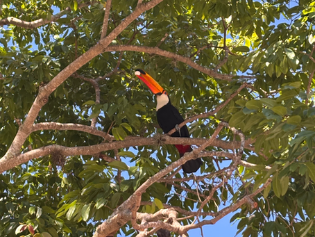 Mairiporã: um paraíso natural tão perto de São Paulo