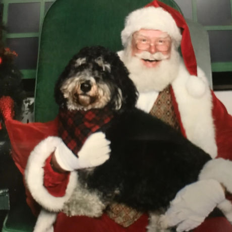 Big dog and Santa_edited_edited.jpg
