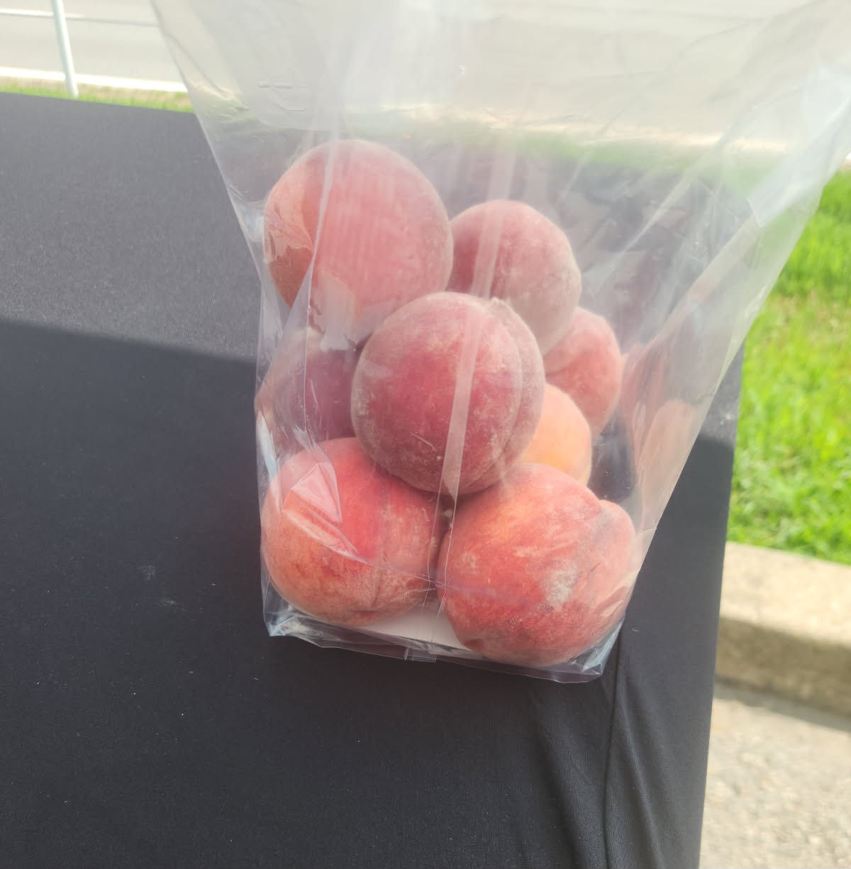 Small Bag of Chambersburg Peaches