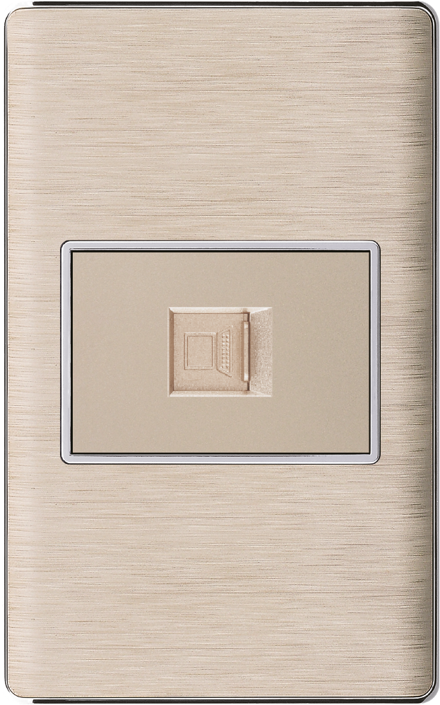 Miniatura: PLACA DORADA 2