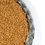 Thumbnail: Fenugreek Whole || حلبة حب
