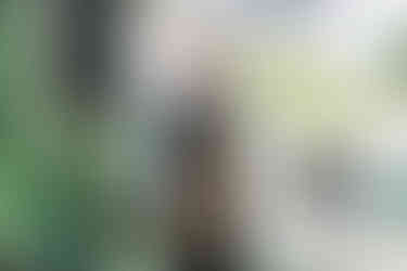 dave plummer saxoponist playing to wedding guests at east afton farmhouse Isle of Wight