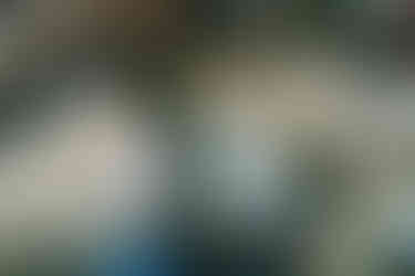 Close up of bridal bouquet flowers for Isle of Wight Wedding