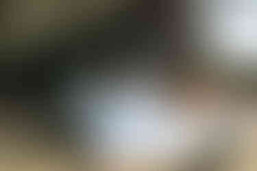 Bride and bridesmaids ready for wedding photos at east afton farmhouse Isle of Wight