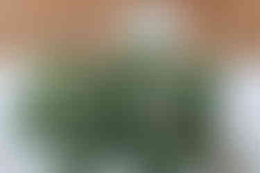 Wedding flowers from Bembridge flowers at east afton farmhouse Isle of Wight