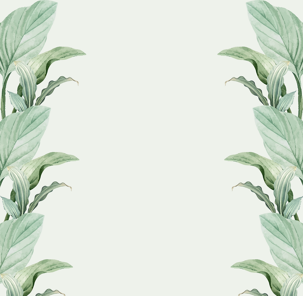 backround.png