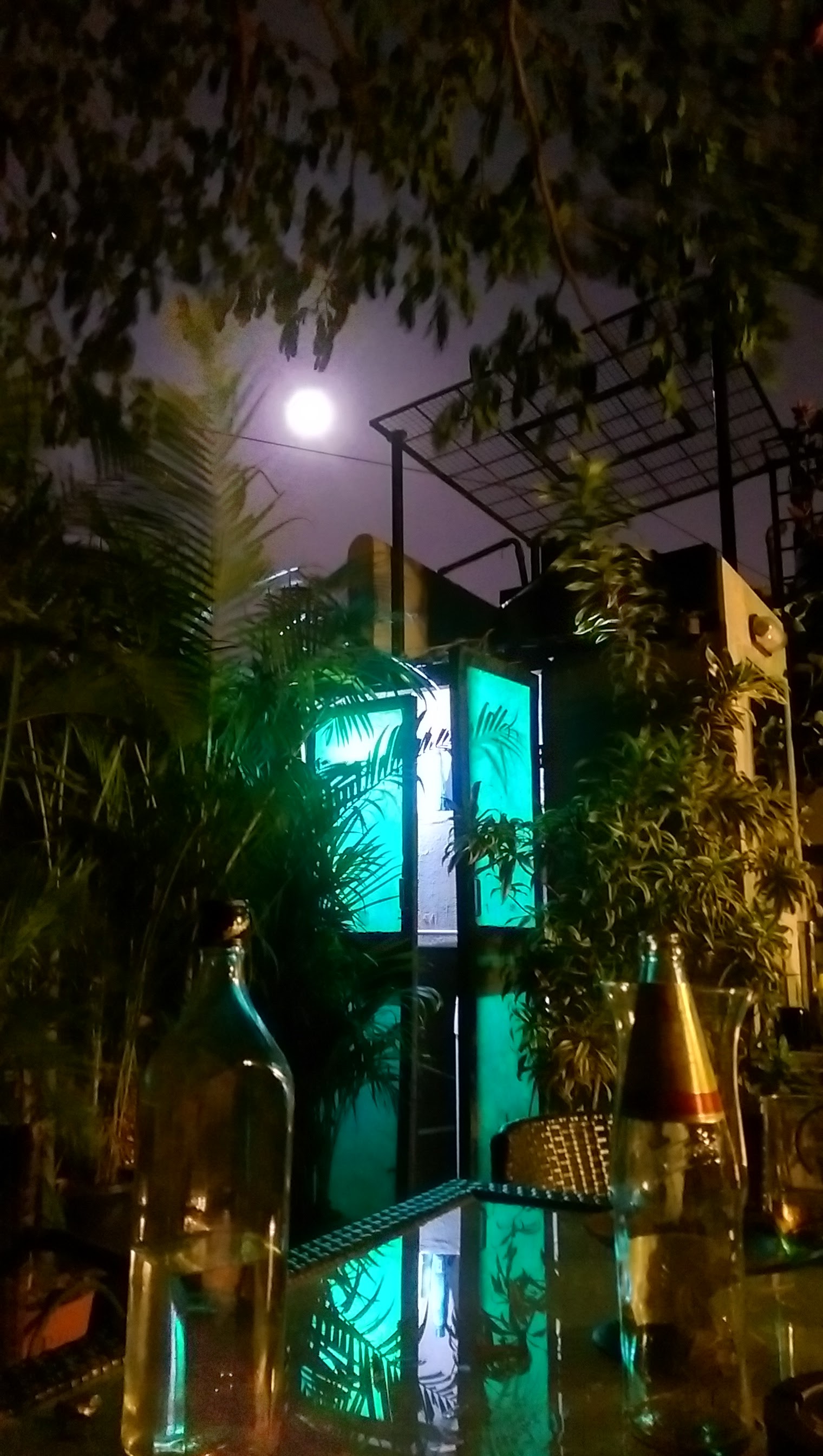 Moonlit Night on the terrace