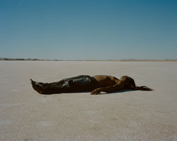 Master -Derek & Salt