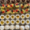 mini tartaletas surtidas.png