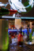 dorado-106.jpg