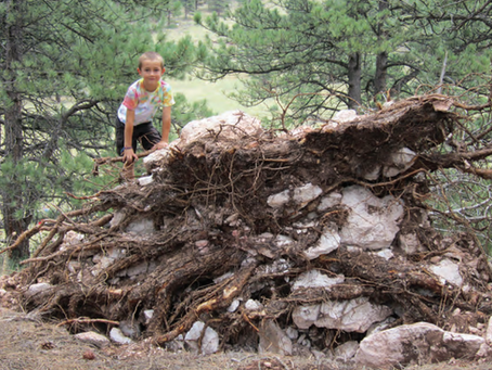 Wild Play in Nature 🐒