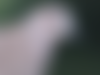 The Ethics of Invasive Species 🐦