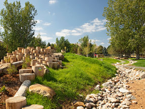Green Schoolyards 💚