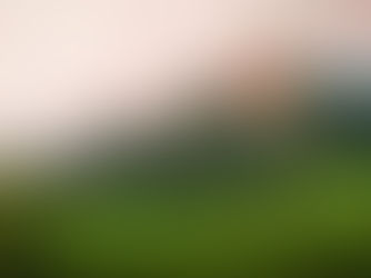 50th Anniversary of Boulder's Open Space 🏔