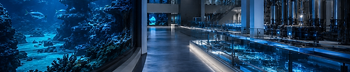 Independent assessment ensuring aquarium design remains operationally relevant for future standards and visitor expectations.
