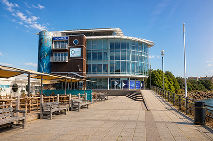 National Marine Aquarium UK